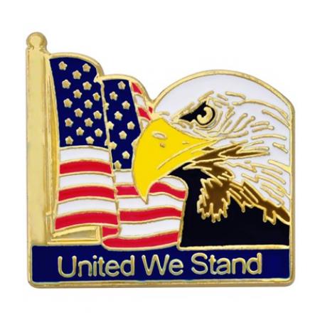 Flag Eagle Pin 