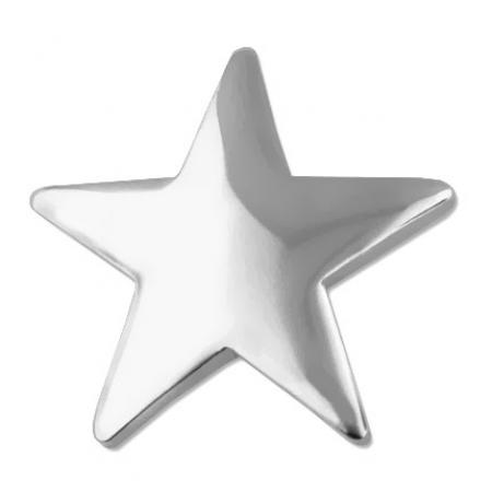 Silver Star Pin 