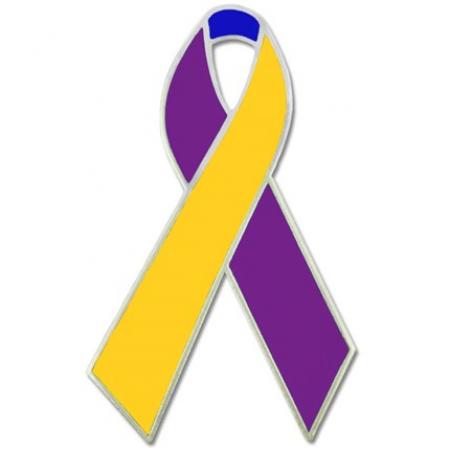 Bladder Cancer Ribbon Pin 