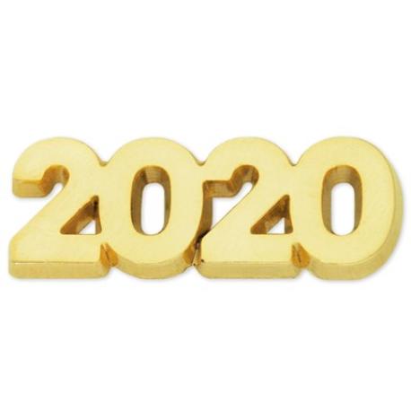     2020 Year Lapel Pin