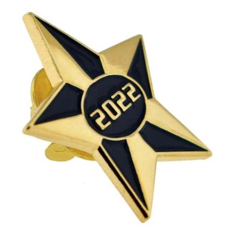     2022 Blue and Gold Star Pin