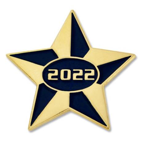     2022 Blue and Gold Star Pin