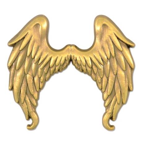     Angel Wings Pin