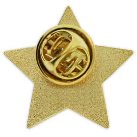     2019 Blue and Gold Star Pin