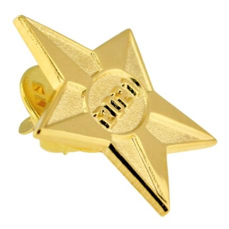     2021 Gold Star Pin