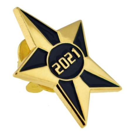     2021 Blue and Gold Star Pin