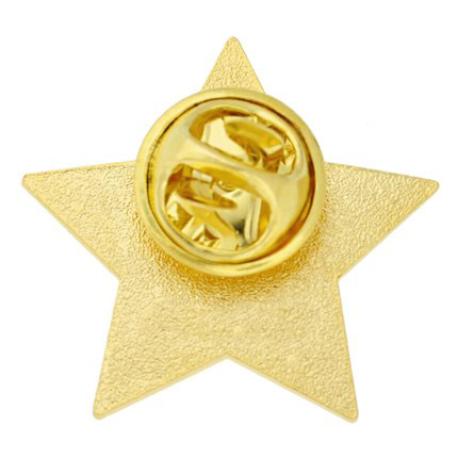     2021 Blue and Gold Star Pin