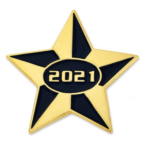     2021 Blue and Gold Star Pin