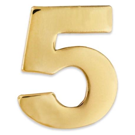     Number 5 Pin