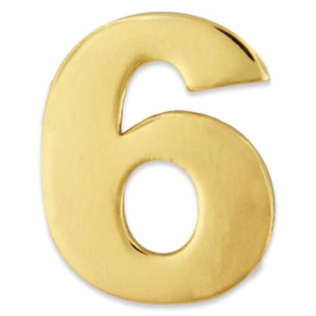     Number 6 Pin