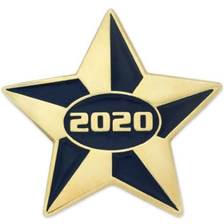     2020 Blue and Gold Star Pin