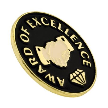     Award of Excellence Pin