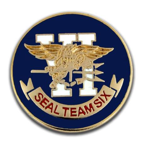     U.S. Navy Team 06 Pin