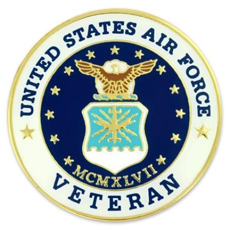     U.S. Air Force Veteran Pin