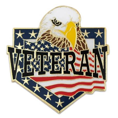     Veteran Eagle Pin Magnetic Back