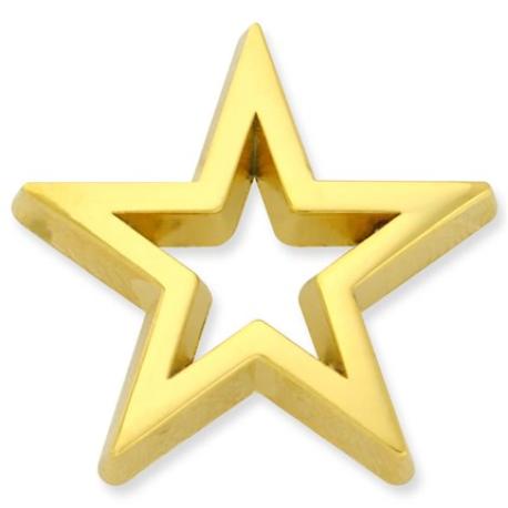     Star - Gold 3-D Cut-Out Pin