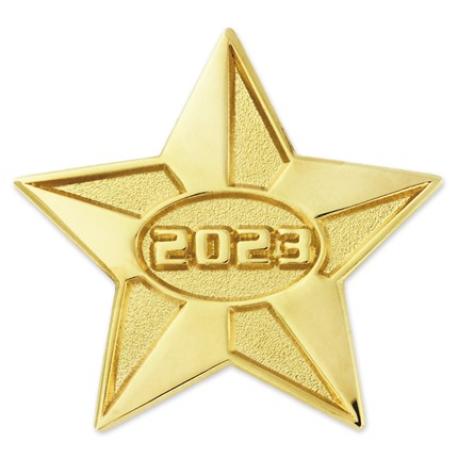     2023 Gold Star Pin