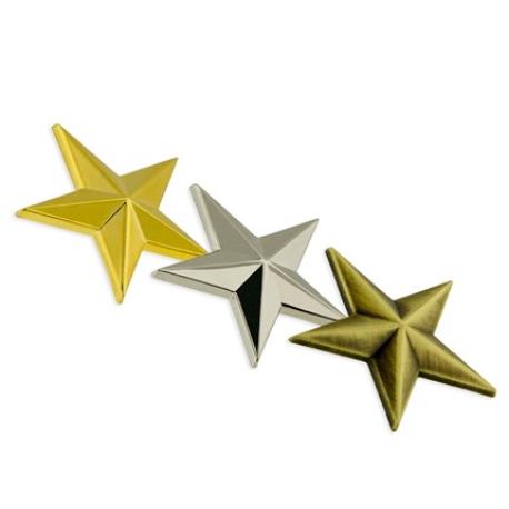     3D Star Pin