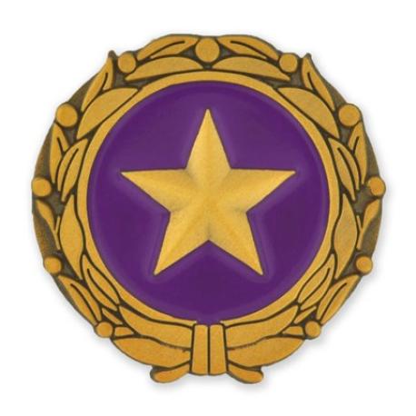     Gold Star Military Surviving Spouse Pin