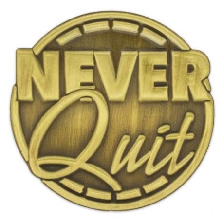     Never Quit Pin