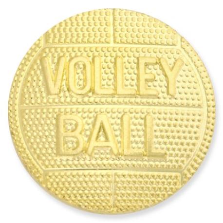     Gold Volleyball Chenille Pin