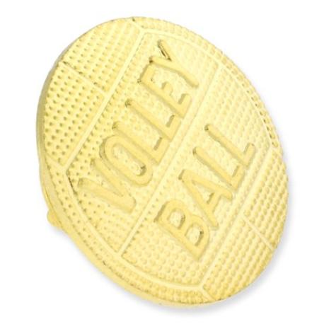     Gold Volleyball Chenille Pin