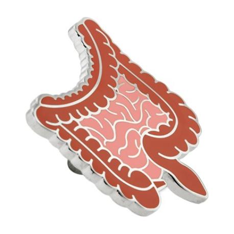     Human Intestines Pin