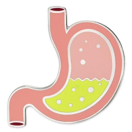     Human Stomach Pin