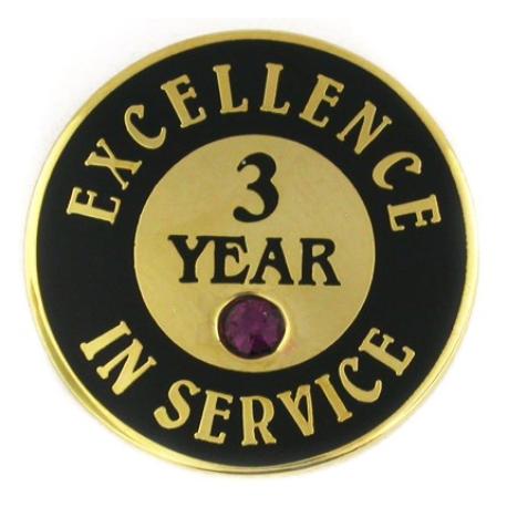     Excellence In Service Pin - 3 Years purple stone